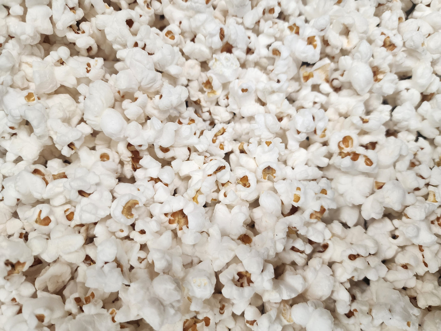 Gourmet White Half Salt