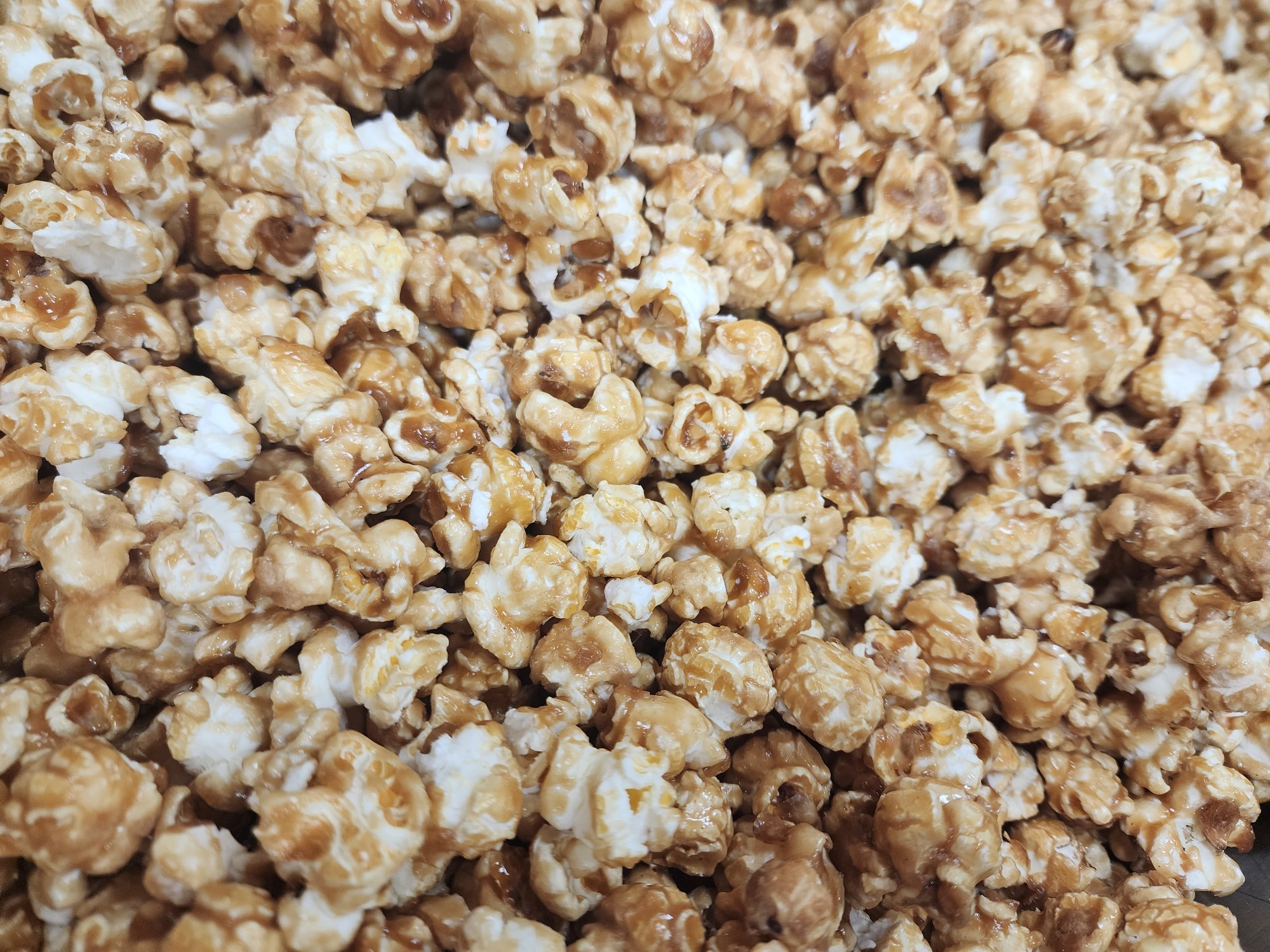 Basic – Sweet Harvest Popcorn Shoppe